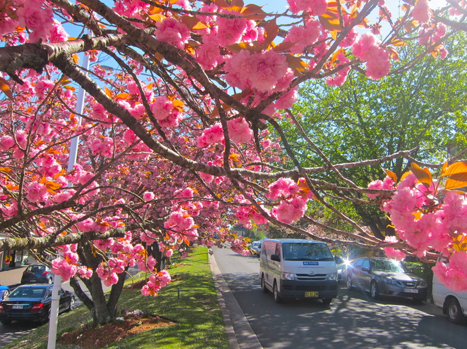 Private Tours - Image 6